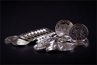 Galerie Philharmoniker 1 Oz Stříbrná investiční mince 20 ks Originální balení-3.jpg